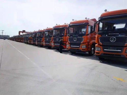 陜汽重卡 價值引領贏市場，品質(zhì)營銷交付忙，助力國內(nèi)貨物運輸代理蓬勃發(fā)展