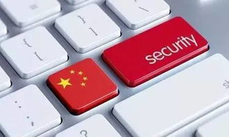 溫州市民注意 互聯網信息服務新規即將實施，48小時內這些變化將影響您的生活